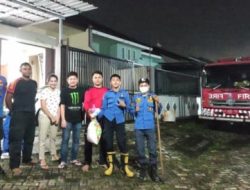 Musang Rusak Perabotan Rumah hingga Lukai Petugas Damkar